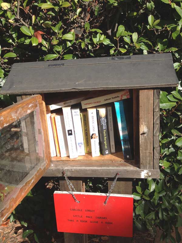 Little-Street-Library-Calis
