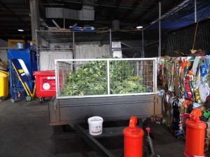 Recycling at the South Melbourne Market
